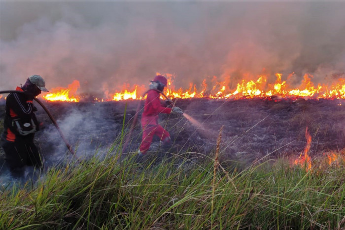 Waspada, Kini Indonesia Masih Rawan Kebakaran Hutan